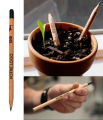 Crayon à planter