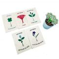 Flower Seed Paper Sock Header Card